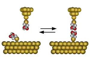 H-bond-e-transfer