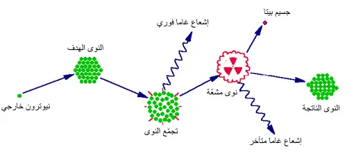 التشعيع بالنيوترونات