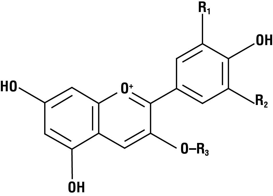 anthocyanine