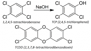 كارثة-سيفيزو_مركب-TCP