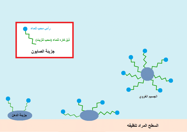 المركبات التي تعمل على خفض التوتر السطحي للماء تسمى.