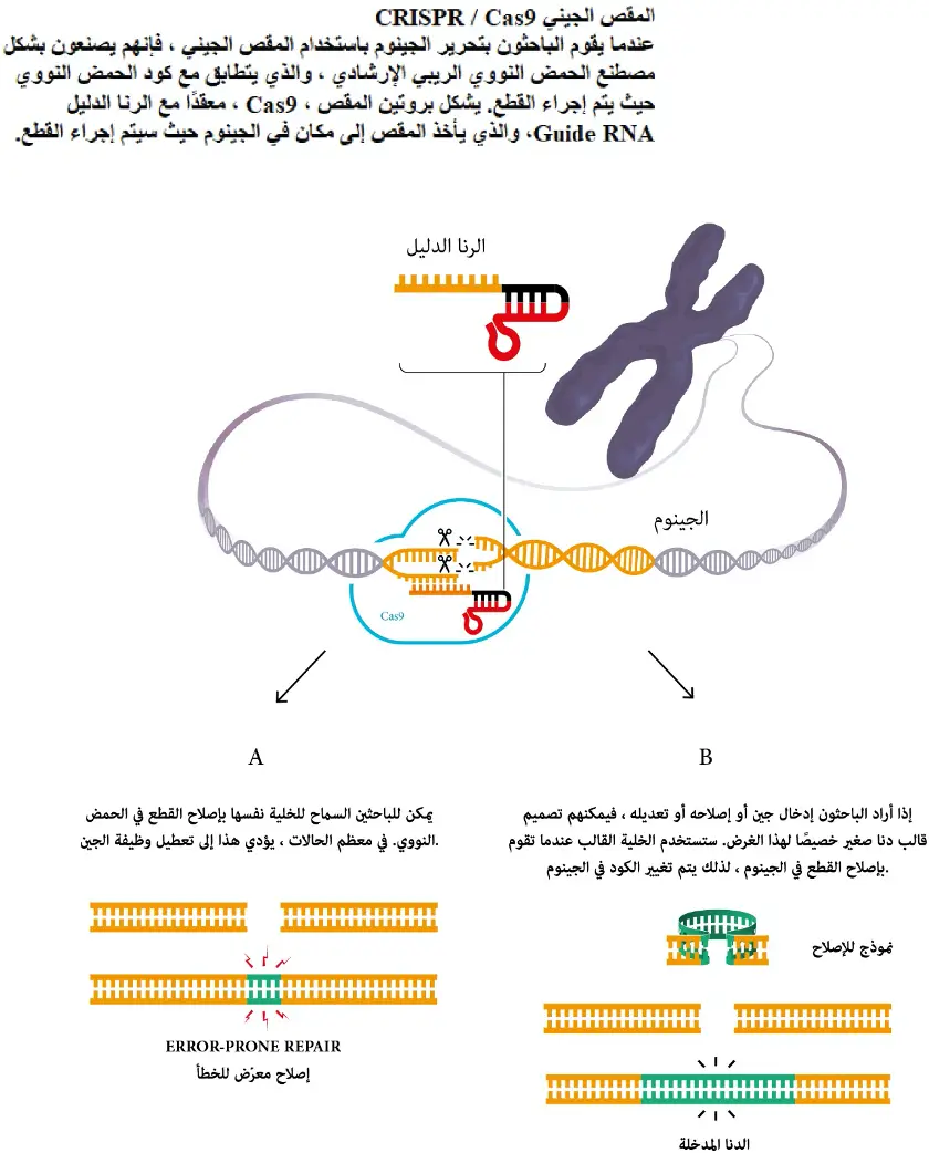 المقص الجيني