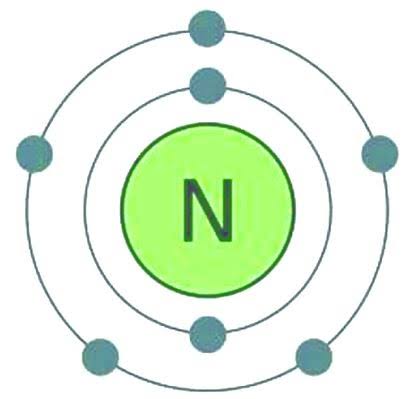 يوجد أعلى تركيز من النيتروجين في؟