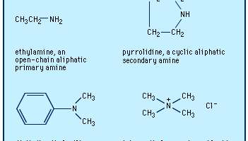 الشكل الكيميائي للأمينيات